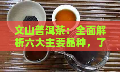 文山普洱茶：全面解析六大主要品种，了解它们的特性与区别