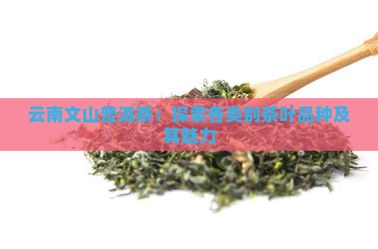 云南文山普洱茶：探索各类别茶叶品种及其魅力