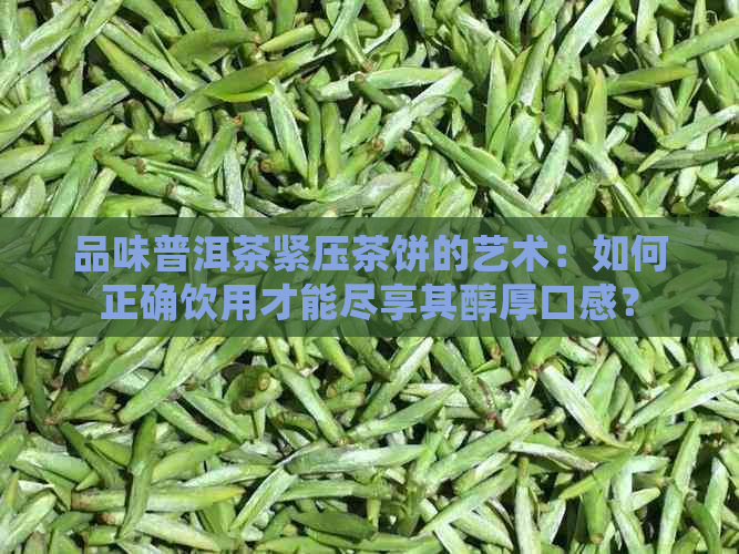 品味普洱茶紧压茶饼的艺术：如何正确饮用才能尽享其醇厚口感？