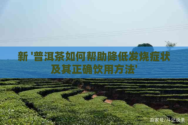 新 '普洱茶如何帮助降低发烧症状及其正确饮用方法'