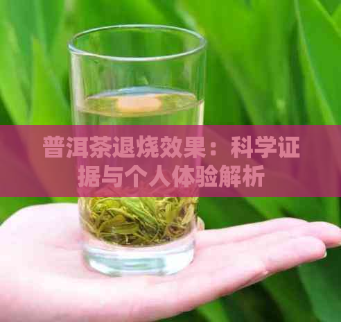 普洱茶退烧效果：科学证据与个人体验解析