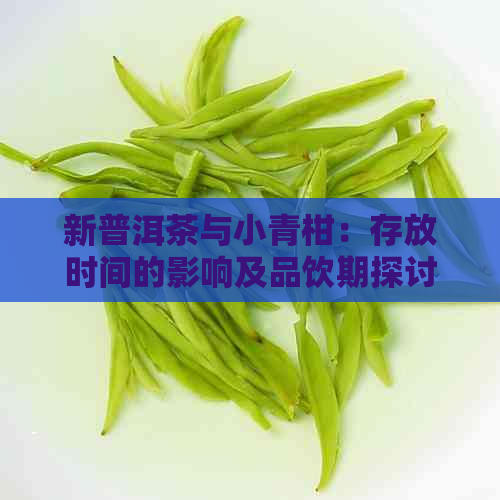 新普洱茶与小青柑：存放时间的影响及品饮期探讨