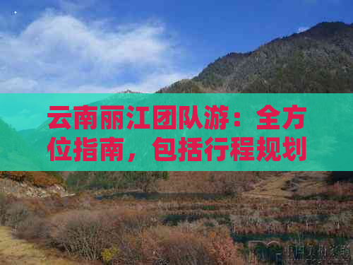 云南丽江团队游：全方位指南，包括行程规划、住宿、交通和景点推荐