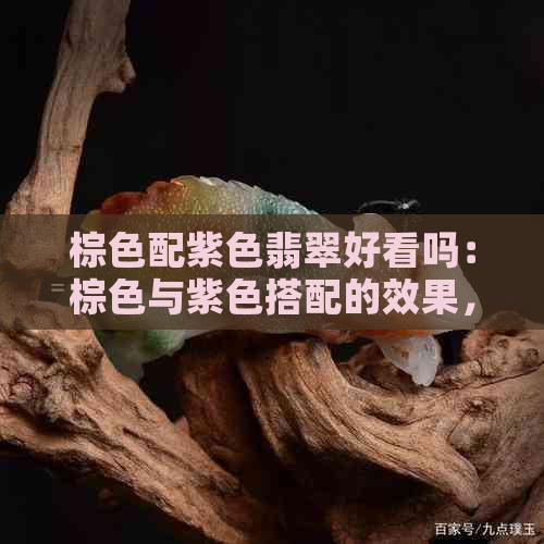 棕色配紫色翡翠好看吗：棕色与紫色搭配的效果，是否令人满意？