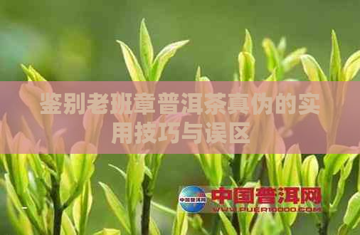 鉴别老班章普洱茶真伪的实用技巧与误区