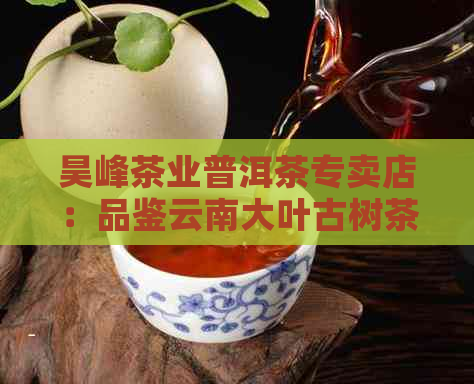 昊峰茶业普洱茶专卖店：品鉴云南大叶古树茶的魅力之地