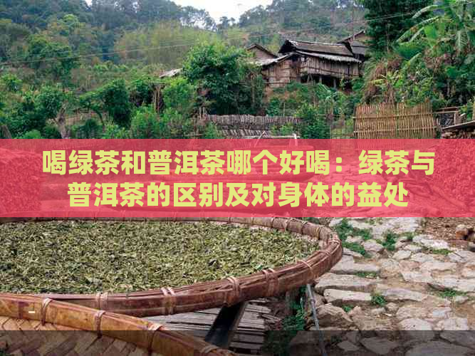 喝绿茶和普洱茶哪个好喝：绿茶与普洱茶的区别及对身体的益处