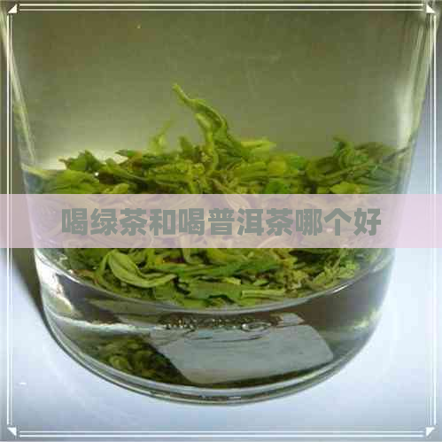 喝绿茶和喝普洱茶哪个好