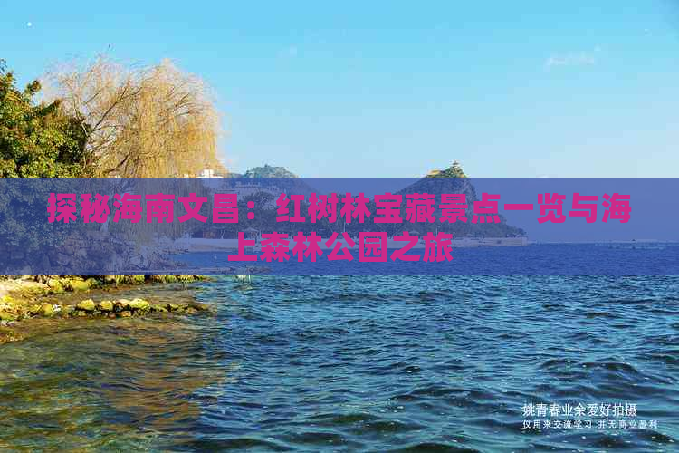 探秘海南文昌：红树林宝藏景点一览与海上森林公园之旅