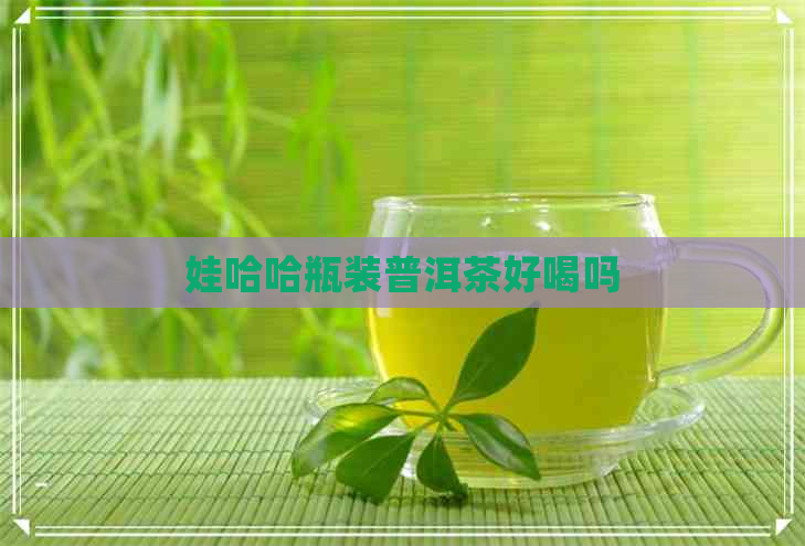 娃哈哈瓶装普洱茶好喝吗