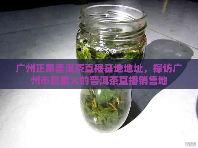 广州正宗普洱茶直播基地地址，探访广州市区最火的普洱茶直播销售地