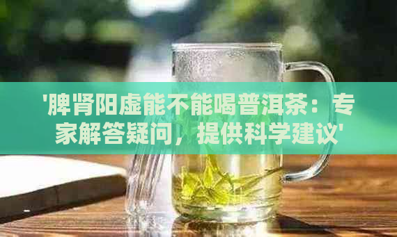 '脾肾阳虚能不能喝普洱茶：专家解答疑问，提供科学建议'