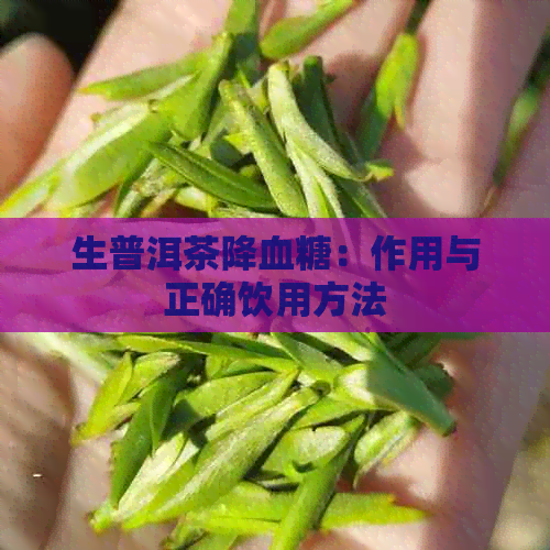 生普洱茶降血糖：作用与正确饮用方法