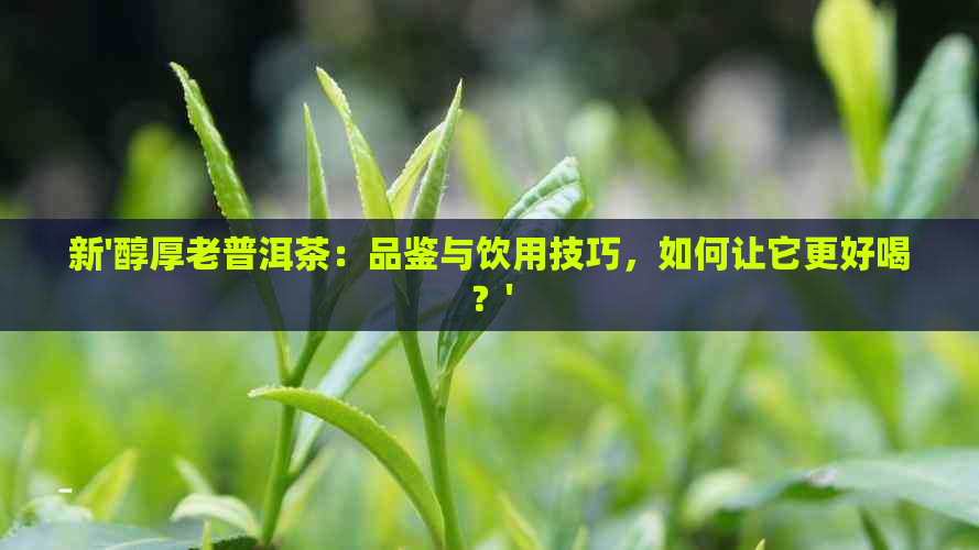 新'醇厚老普洱茶：品鉴与饮用技巧，如何让它更好喝？'