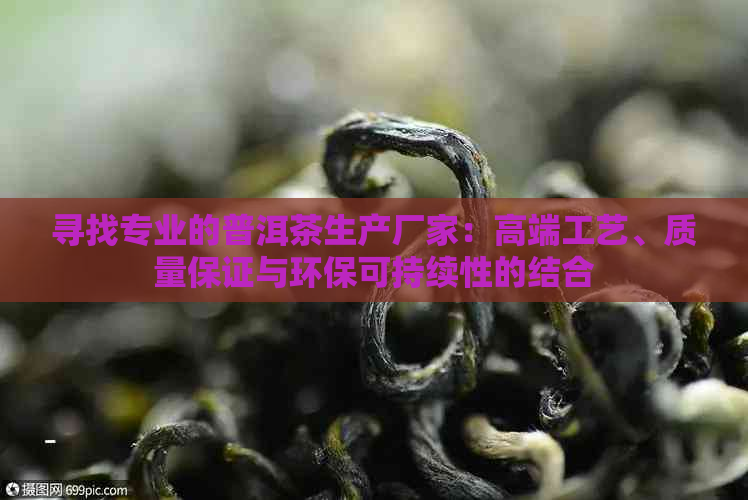 寻找专业的普洱茶生产厂家：高端工艺、质量保证与环保可持续性的结合