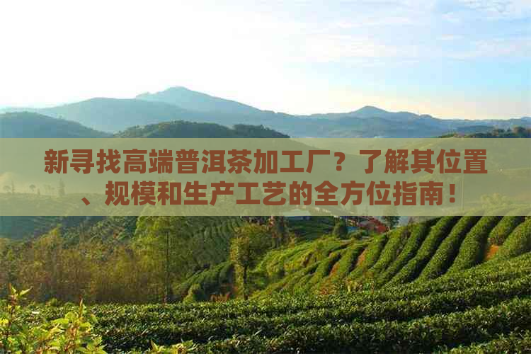 新寻找高端普洱茶加工厂？了解其位置、规模和生产工艺的全方位指南！