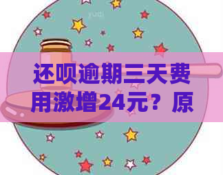 还呗逾期三天费用激增24元？原因何在？用户常见问题解答