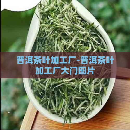 普洱茶叶加工厂-普洱茶叶加工厂大门图片