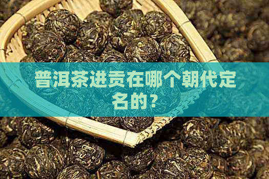 普洱茶进贡在哪个朝代定名的？