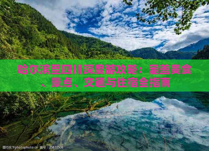 哈尔滨至四川深度游攻略：涵盖美食、景点、交通与住宿全指南