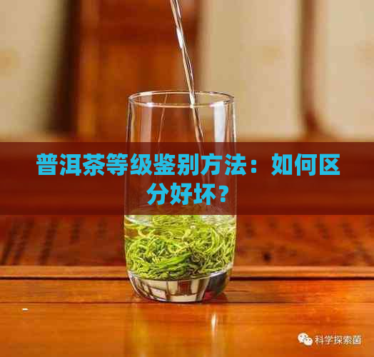 普洱茶等级鉴别方法：如何区分好坏？