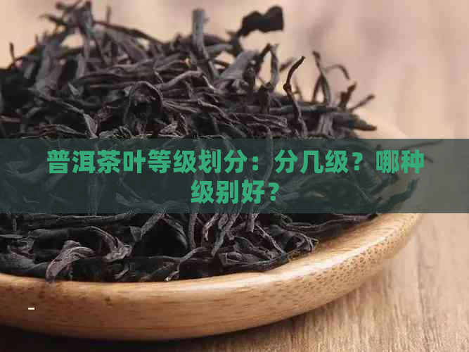 普洱茶叶等级划分：分几级？哪种级别好？