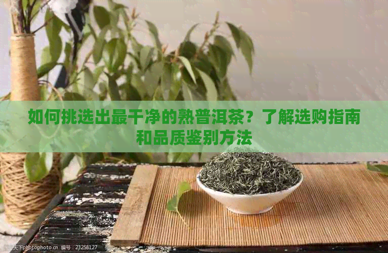 如何挑选出最干净的熟普洱茶？了解选购指南和品质鉴别方法