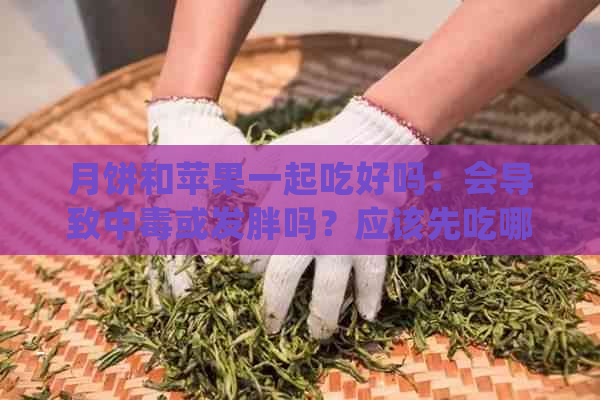 月饼和苹果一起吃好吗：会导致中或发胖吗？应该先吃哪一个？