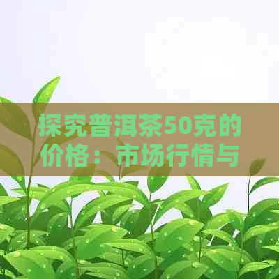 探究普洱茶50克的价格：市场行情与价值解析