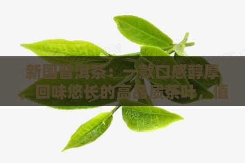 新国普洱茶：一款口感醇厚，回味悠长的高品质茶叶，值得品尝！