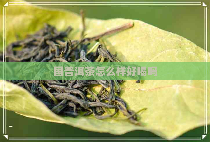 国普洱茶怎么样好喝吗