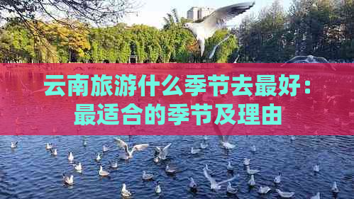 云南旅游什么季节去更好：最适合的季节及理由