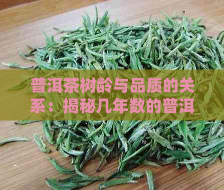 普洱茶树龄与品质的关系：揭秘几年数的普洱茶方可饮用