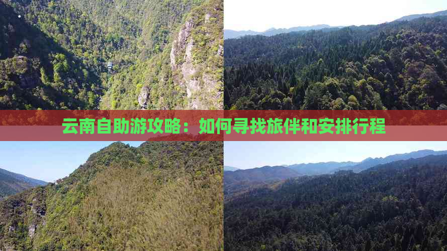 云南自助游攻略：如何寻找旅伴和安排行程