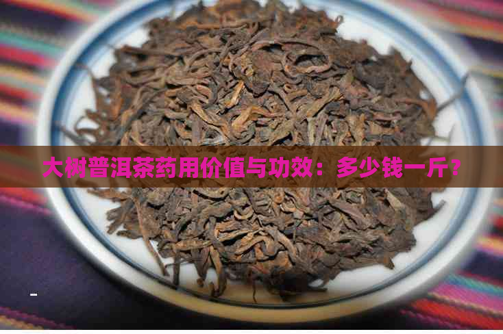 大树普洱茶药用价值与功效：多少钱一斤？