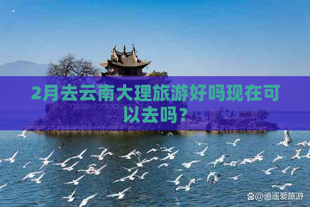 2月去云南大理旅游好吗现在可以去吗？