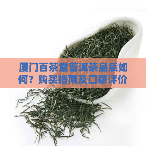 厦门百茶堂普洱茶品质如何？购买指南及口感评价一应俱全！