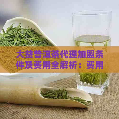 大益普洱茶代理加盟条件及费用全解析：费用明细表和成功加盟的关键要素