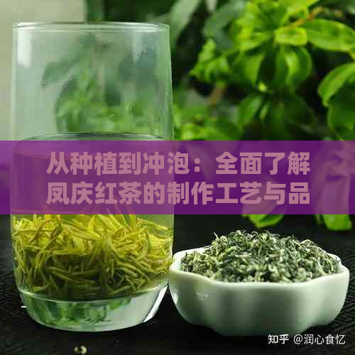 从种植到冲泡：全面了解凤庆红茶的制作工艺与品鉴技巧