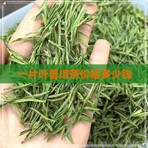 一片叶普洱茶价格多少钱