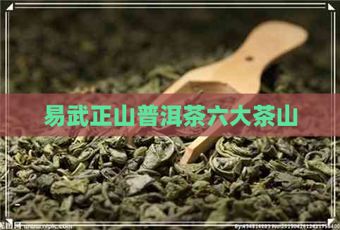 易武正山普洱茶六大茶山