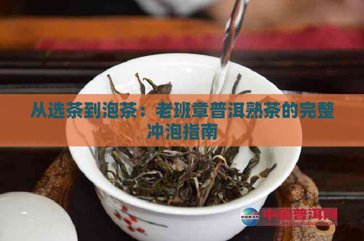 从选茶到泡茶：老班章普洱熟茶的完整冲泡指南