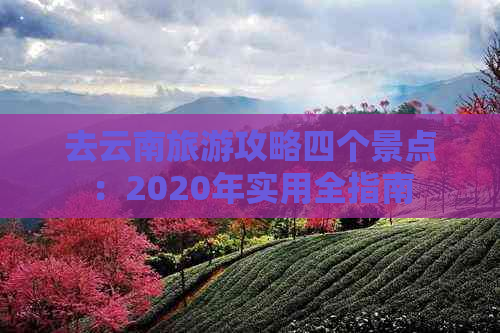 去云南旅游攻略四个景点：2020年实用全指南