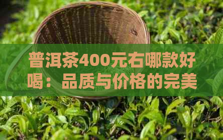 普洱茶400元右哪款好喝：品质与价格的完美结合