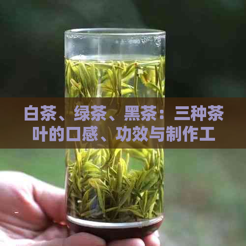 白茶、绿茶、黑茶：三种茶叶的口感、功效与制作工艺对比