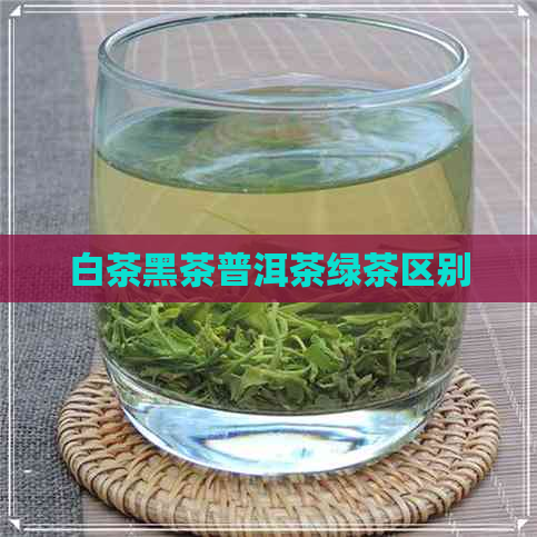 白茶黑茶普洱茶绿茶区别