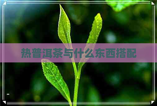 热普洱茶与什么东西搭配