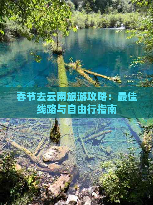 春节去云南旅游攻略：更佳线路与自由行指南