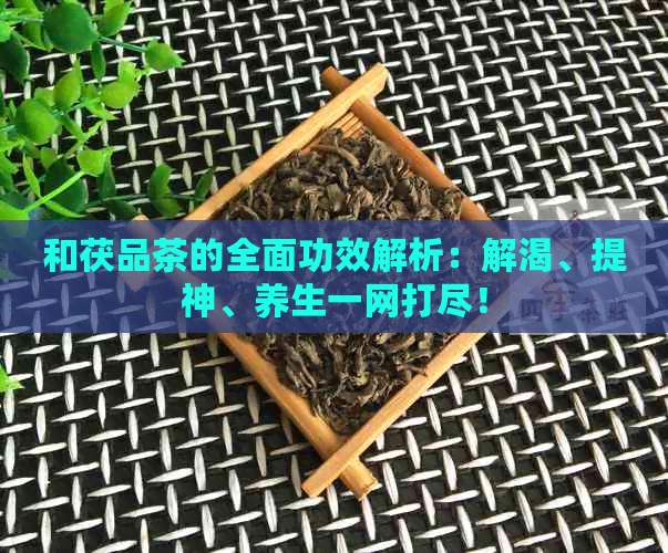 和茯品茶的全面功效解析：解渴、提神、养生一网打尽！