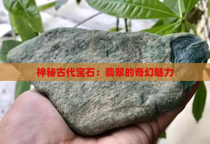 神秘古代宝石：翡翠的奇幻魅力